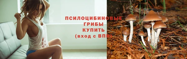 первитин Алексеевка