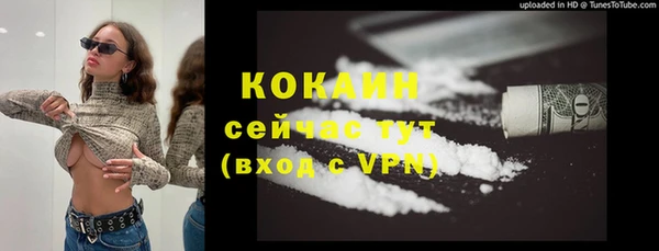тгк Няндома