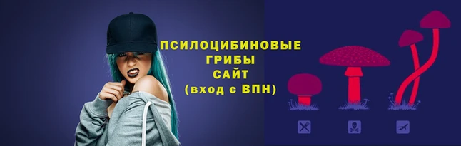 прущие крисы Алексин