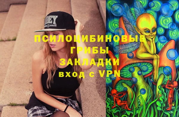 МДПВ Алзамай