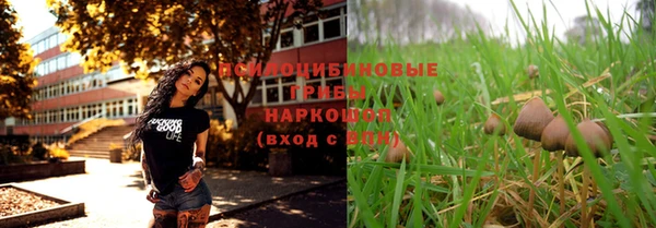 тгк Няндома